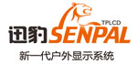 迅豹