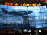 _(sh)Һƴ W2010