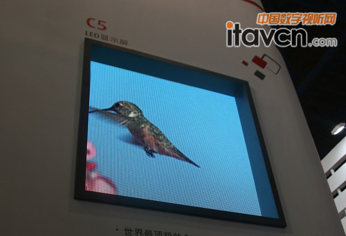 C5 LED@ʾ