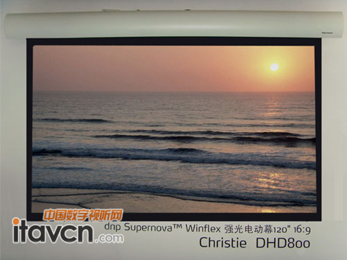 (qing)Ͷ늄(dng)Ļ Supernova WinFlex