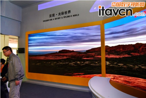 TV1S9@ʬF