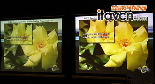 D3 HQVҕl(qing)Ч