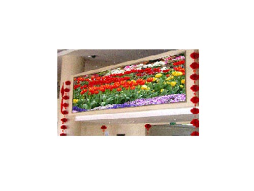 PLED҃(ni)ȫɫP6 LED@ʾ