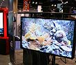 infocomm2011չF棨D
